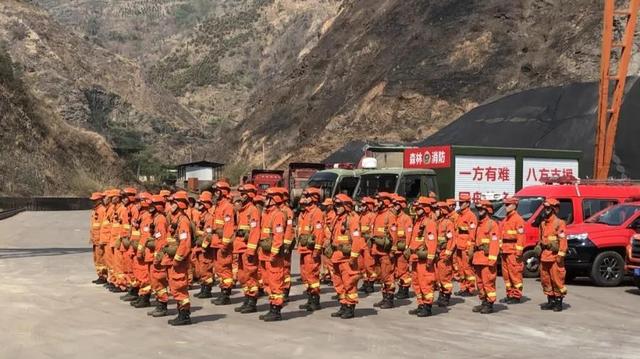 森林防火力争零火情,手持式金属探测器隔绝打火机入林区