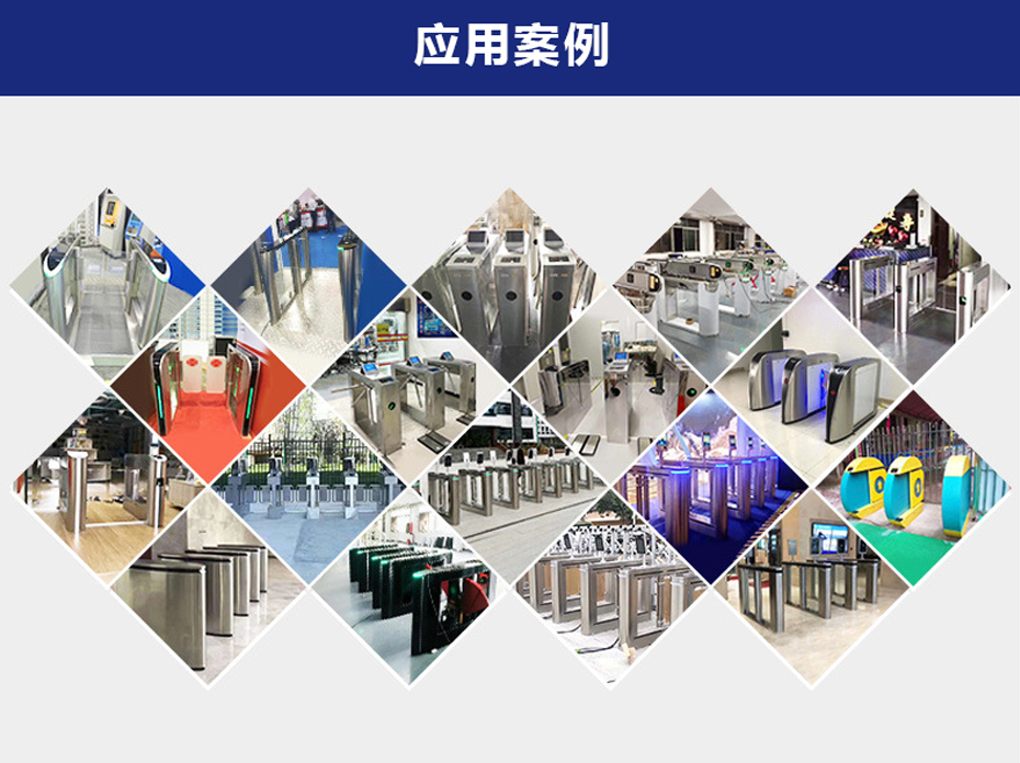 立式摆闸